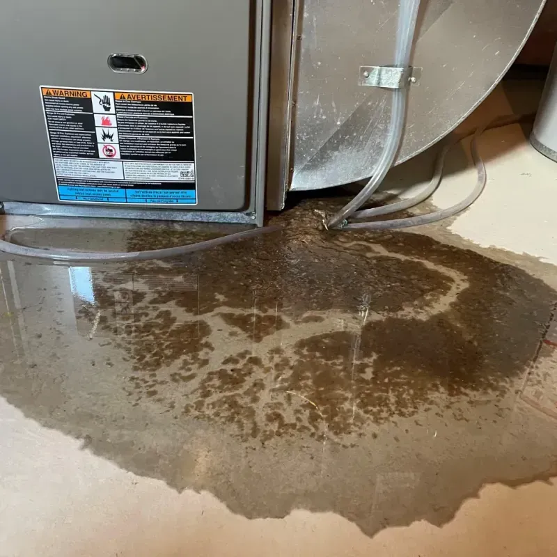 Appliance Leak Cleanup in Upland, IN